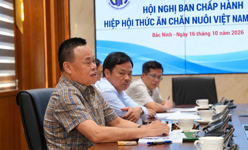 Hiệp hội Thức ăn chăn nuôi Việt Nam chuẩn bị Đại hội lần thứ VII, nhiệm kỳ 2027 - 2031